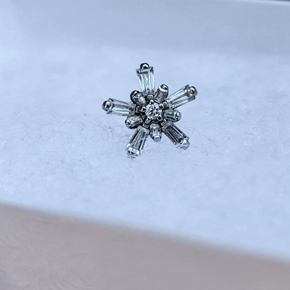 BVLA Mininova Labret - Picture 4 of 5